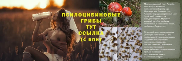 сатива Алексин