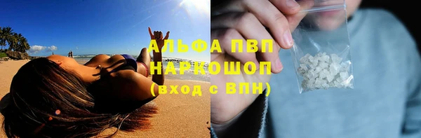 сатива Алексин