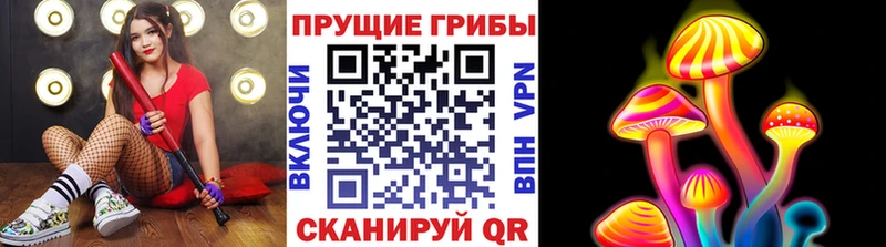 как найти закладки  Томск  Галлюциногенные грибы мицелий 